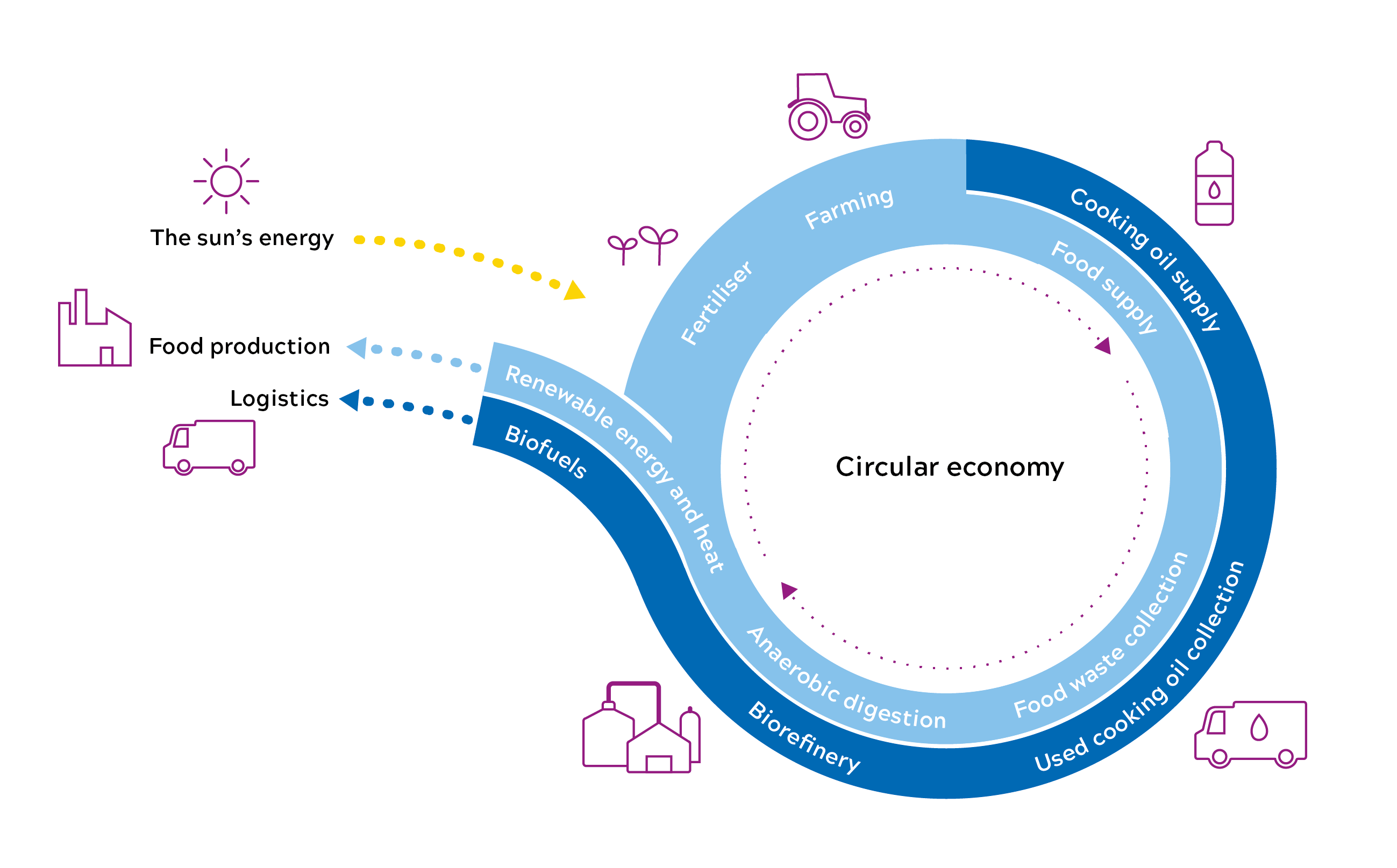 FSE infographic